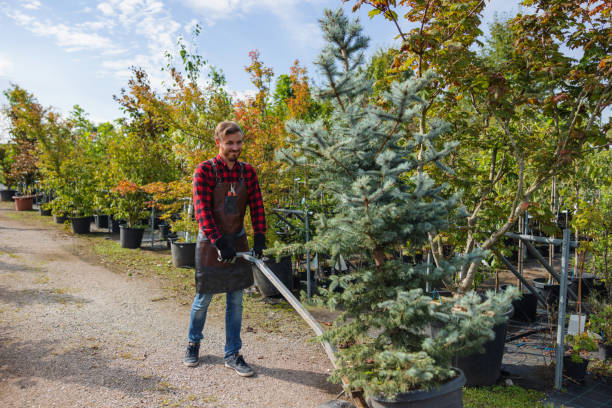 Best Residential Tree Removal  in Escobares, TX